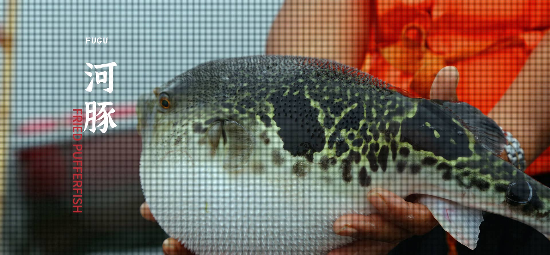 304am��������(�й�)���޹�˾-Official Website