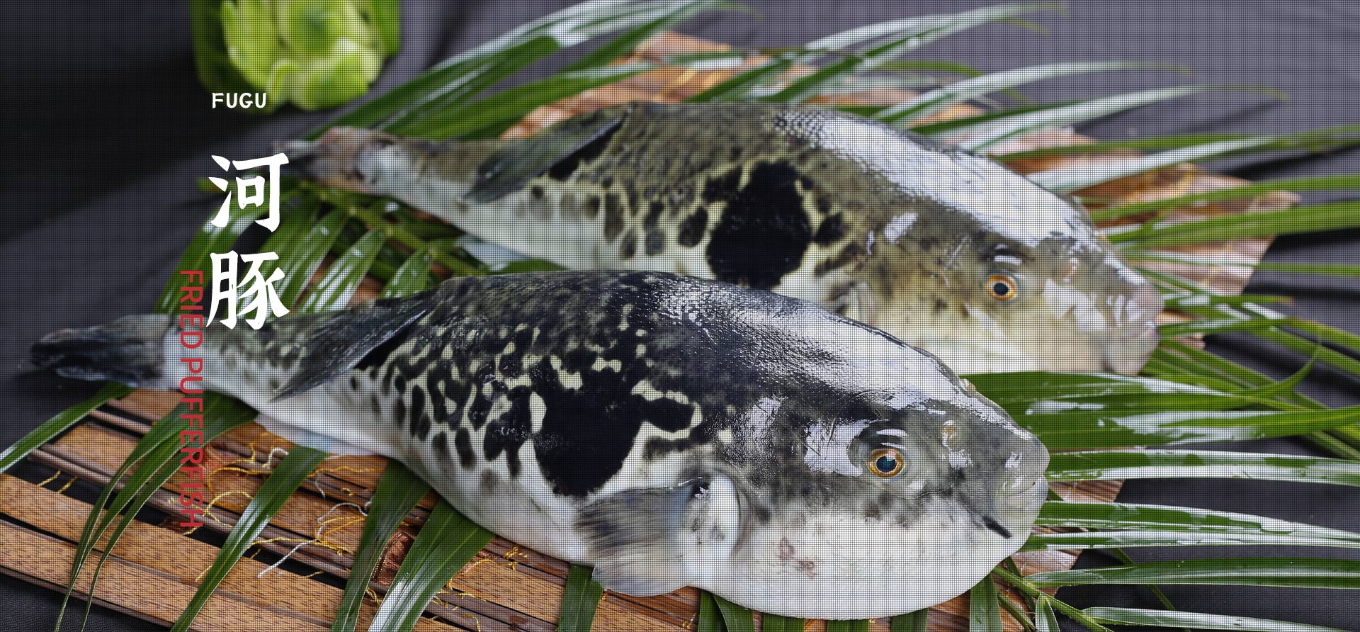 304am��������(�й�)���޹�˾-Official Website