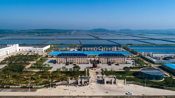 ����304����Ψһ������Ƹ